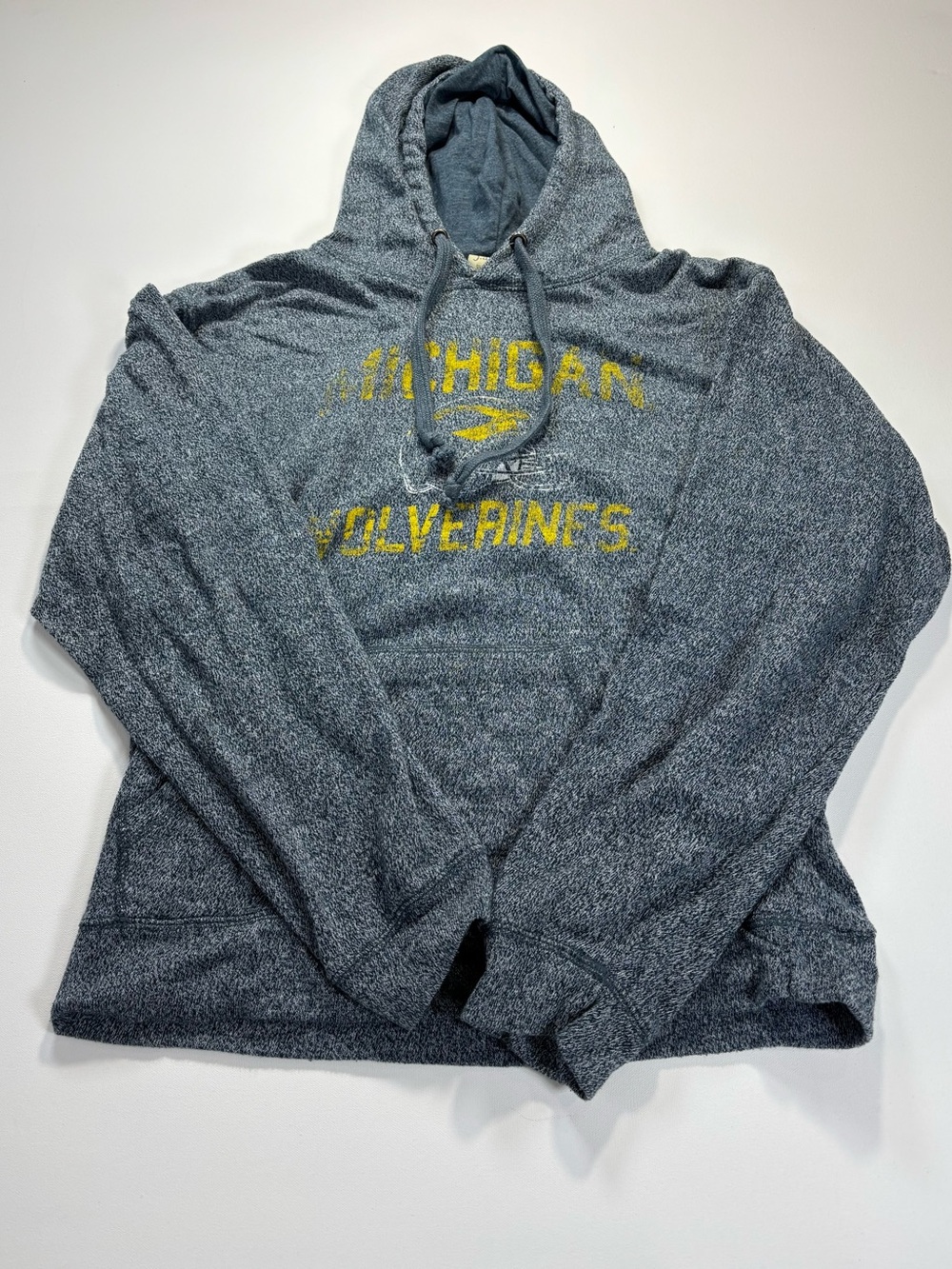 J. America Michigan Hoodie Sweater